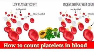 Platelets count _Test Reference Range _And Procedure_(in urdu )