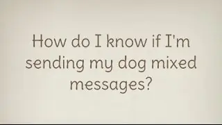 Ask A Dog Trainer: How do I know if I'm sending my dog mixed messages?