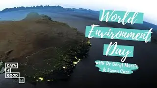 World Environment Day: Using Data as a Catalyst for Organisations to Help Protect Our Environment