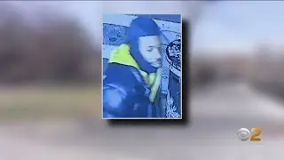 Suspect arrested for deadly New York City crime spree