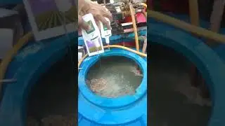 vestige Agri product use ( Agri 82, Agri humic, Agri moas make the result demo