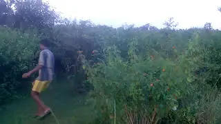 Rajenda