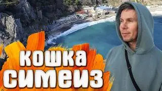 Симеиз теплый день на набережной / Скала Диво / Гора Кошка | Прогулка по Крыму