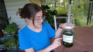 Making Tulsi Tincture + My Weird New Allergy | VLOG