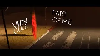 VIINCULE - Part Of Me (Lyric Visualizer)