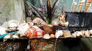 Totally Relaxing Abstract Piano Music 07 Awareness 08 My Story