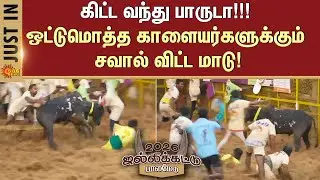 Palamedu Jallikattu -2026 | 8th Round | Bulls | Players | Madurai | Sun News
