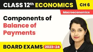 Components of Balance of Payments - Open Economy Macroeconomics | Class 12 Macroeconomics  2022-23