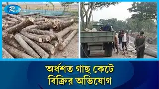 গোয়াইনঘাটে অনুমতি ছাড়াই গাছ কেটে লোপাট | Sylhet tree cutting | Rtv News