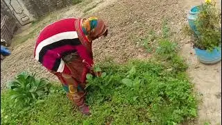 Khet me huyi ladayi......#comedy #viralvideo #india #massti 