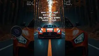 Motivational Quotes That Will Change Your Life | Daily Inspirational for Success & Positivity