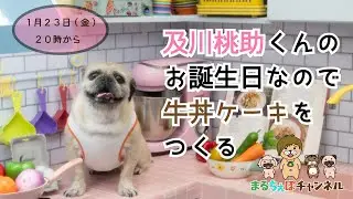 桃ちゃんの誕生日に牛丼をデコる配信【まるちぇぽ🏠】