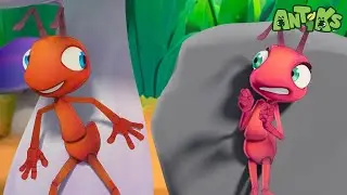 Dikejar Laba-Laba! Petualangan Joey dan Boo! 🕷️👀 | Minibods Indonesia | ​Kartun Anak dan Balita