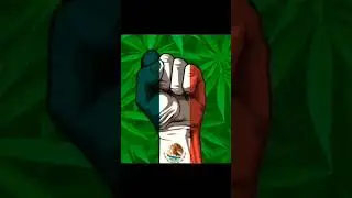 La Legalizaci&oacute;n de La Marihuana en M&eacute;xico