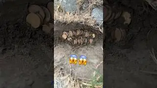 Found at riverside #metaldetecting #gold #treasure #goldcollector #goldcoin #treasuretrove