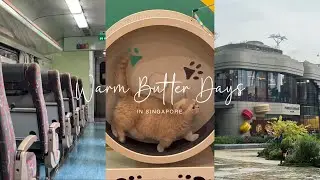 Less Quiet Days | Johor Bahru Day Trip | Birthday Celebrations | Affordable & Amazing Hunan Dishes