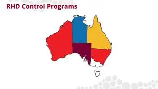 Rheumatic Heart Disease Australia - Secondary Prophylaxis and RHD Control Programs