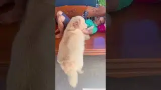 Play with me..🦮🐾😅