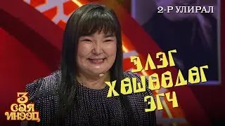 Шведийн элэг хөшөөгч | Дэлгэрмаа |  