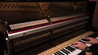 Testing H6 zoom with Schimmel 130t