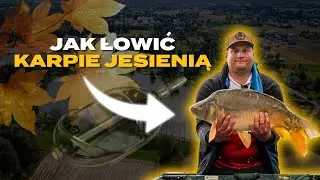 Jak łowić KARPIE JESIENIĄ na Method Feeder?