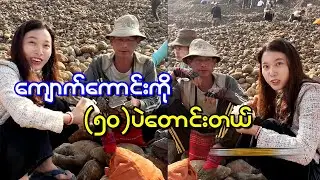 ကျောက်စိမ်းကောင်းတာဘာညာမသိဘူး စျေးချိုချိုနဲ့ ပေးခဲ့တဲ့ ကျောက်စိမ်းကောင်းတစ်လုံး