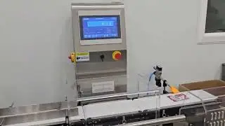 Small Sachet Package Conveyor Checkweigher Automatic Weight Checker