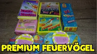 Ältere Feuervögel im Test | Silvester2k
