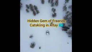 4K Kazakhstan Powder Paradise | Catskiing in Altay