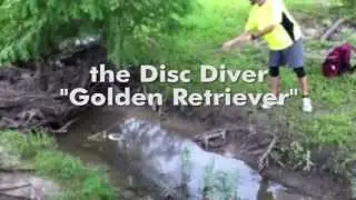 Disc Diver 