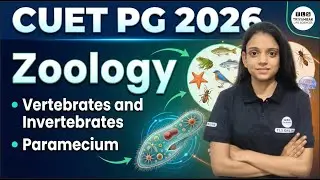CUET PG 2026 Zoology | Vertebrates, Invertebrates & Paramecium | Complete Guide