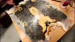 Choosing a Buckeye Burl top!  New Guitar Build!