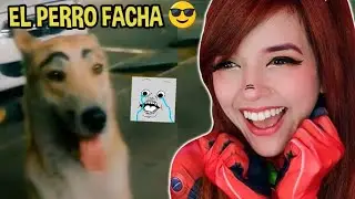 Motfrais Reacciona a MEMES REANDOM #498