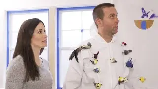 CREATING A BIRD ROOM | Interior Design DIY Projects, Spray Painting Stencils, What Is Paul Doing?