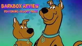 BARKBOX review....featuring SCOOBY DOO!!
