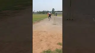 Crushing it with a Boundary #cricket #cricketshorts #shortsfeed #trending #youtubeshorts #shorts