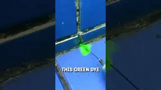 How we locate leaks in swimming pools! 😮🤩  -  🎥 encanadordesucesso
