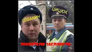 ⚡ КОМАНДИРЫ МАЗОФАКЕРА #собакин и #цицюк НАРУШАЮТ РЕГЛАМЕНТ и КОАП       (автор OSATV)