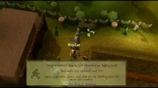 Rhcpanth13 99 Agility party [RuneScape]