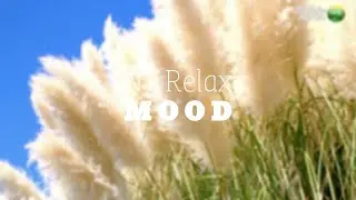 NT Relax MOOD - Season Healing piano music for Stop Overthinking, Stress Relief, Sleep, Calming.