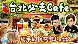 【2026 🇹🇼台北自由行】動物主題Cafe體驗熱帶森林🦜🦝同大嘴鳥＋狐獴chill ☕｜人氣打卡熱點+超親切店員｜#台灣旅遊 #台北Cafe #肉球森林 #寵物cafe #亞洲旅遊