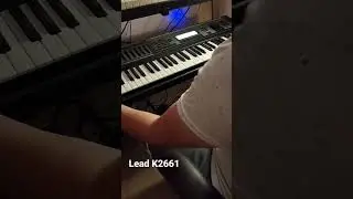 Kurzweil K Liquid Lead
