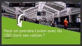 Peut-on prendre l'avion avec du CBD​ dans ses valises ?