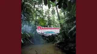 Tropical Forest Serenade