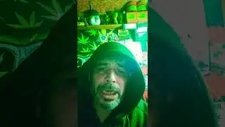 Negatives to #uk #medical #ukmedicalcannabis #growerscommunity 💯🍁🍁🍁🍁👽👊🔊🔊