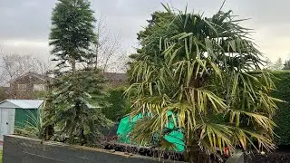 Cold Damage 1 Week After Freeze&hellip;