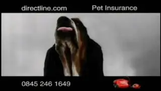 Direct Line pet insurance advert 2008