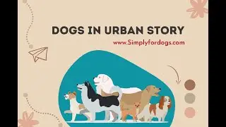 Dogs in Urban Legends