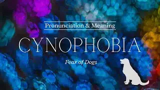 How to Pronounce: Cynophobia | British Pronunciation & Meaning