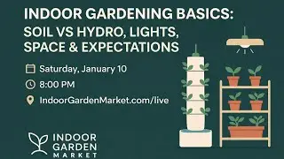 Indoor Food Gardening Basics &mdash; Soil vs Hydro, Lights, Space & Realistic Expectations